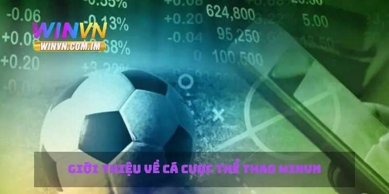 Giới thiệu về cá cược thể thao Winvn